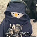 카페앙코