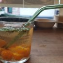 플라스틱가드너 이미지