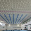 팔마수영장 이미지