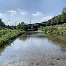 윗사기막 이미지