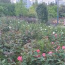 두울원 화명점 이미지