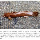 정선매운탕 이미지