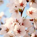 화락고기집 이미지