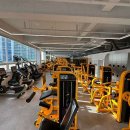 몸이 예뻐짐 이미지