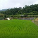 까망농장 이미지