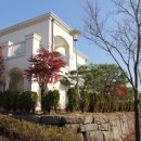 코리아골프빌리지 대우그린카운티 이미지