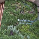 온(ON)--그린비 호텔 | [내돈내산] 삼성역 웨스틴 파르나스 호텔 온테이블 파르나스 주말 런치 후기 (on:table)