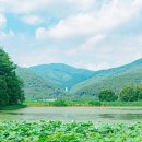 강변 이미지