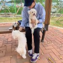 거기그곳에 | [대구 달서구] 🧸아기자기🍭인테리어&amp;브런치맛집💗월성동 “그곳, 거기” 후기!!