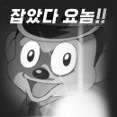 사자카 이미지