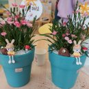 문화초병설유치원 이미지