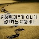 Polnareff : Love me please / To Sir With Love - Lulu Lulu 이미지