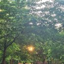 카페거리화장실 이미지