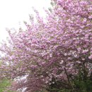 회수동-6 이미지