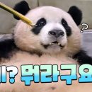 썸네일 - 사상구 | 썸네일