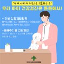 아이튼튼동물병원 이미지