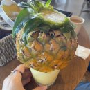 유행농장 이미지