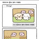 장충동영양족발 - 옹진군 | 세븐일레븐 장충동 쫄깃한 족발 솔직후기🐖🥩