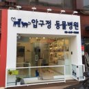 에버펫 동물병원 이미지