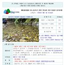 제1029차(26-31) 심산유곡 계곡 물놀이 포천 지장산 정기산행(2026.08.01) 이미지