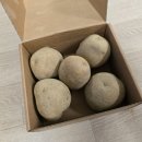 용동길 | 강원도감자 자장면 후기, 두백감자 요리법 정리