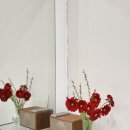 더발라레필발레학원 | [더발라레필 석촌점] 성인 취미 발레 전문, 더발라레필 발레학원🩰