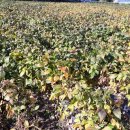 화순성심병원 이미지