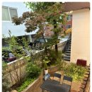 회랑장어랑 이미지