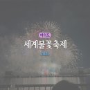 팀 리스펙트 | 한화와 함께하는 서울세계불꽃축제 2025 수변관람석(BLUE ZONE) 관람후기