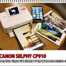 염편한세상 이미지