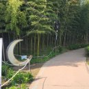 서시천자전거길1 이미지