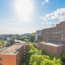 서강대학교 이미지