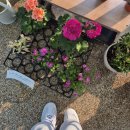 독서미술 B | 2월 교환 독서 후기