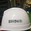 셀파이엔씨(주)