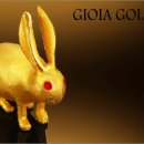 행운홈쇼핑 이미지