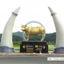 황소축산 이미지
