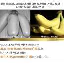 기후위기와 생물다양성, 그리고 쥬노 보드게임ㅣ 자유학기제 환경수업 후기