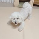 우다다 이미지