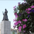 종로사거리 이미지