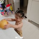 이영란농장 | [주간일기 : 9월 2주차] 2023.09.11 - 2023.09.17