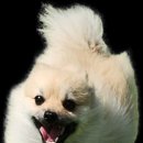 수북좋은약국 이미지