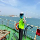 조우국제행정사무소 | 국제식물검역인증원(IPAB) | 청년인턴 종료 후기 (하는 일, 사무소별 업무량, 난이도)