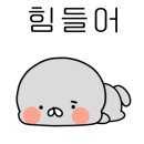 스파렉스 연수 이미지