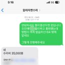 할리데이비슨 꼬리아 화가납니다 이미지