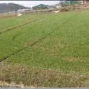 호경농장 이미지