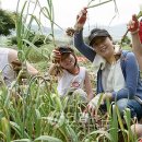 서산태안6쪽마늘조합 공동사업법인