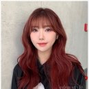 아이디미용실 이미지
