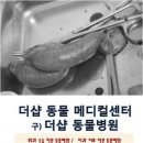 더샵동물메디컬센터 이미지