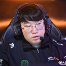 딜라이트포토