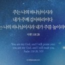 국수사랑 이미지